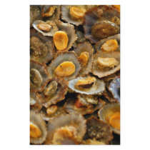 Azores limpets "lapas" stationery