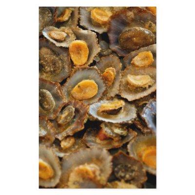Azores limpets "lapas" stationery paper by gavila_pt