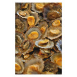 Azores limpets "lapas" stationery paper