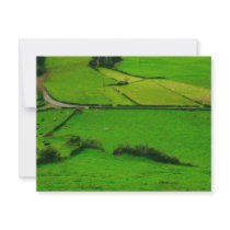 Azores pastures invitations