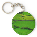 Azores pastures key chain