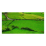 Azores pastures customized photo card