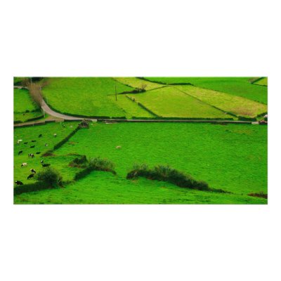 Azores pastures customized photo card by gavila_pt