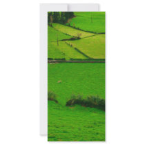 Azores pastures rack cards