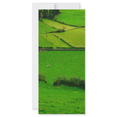 Azores pastures custom rack cards by gavila_pt