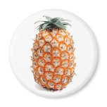 Azores Pineapple magnet