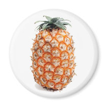 Azores Pineapple magnet