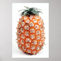Azores pineapple poster