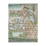 Aztec feather artisan postcards