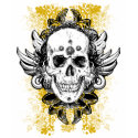 Aztec-Skull t-shirts
