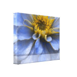 Azul y amarillo lona envuelta para galerias