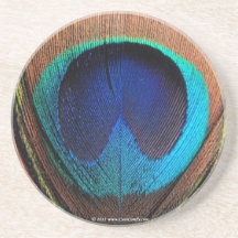 Azules ricos de la pluma macra del pavo real fotog posavaso para bebida
