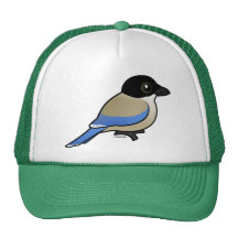 Azure-winged Magpie Hats