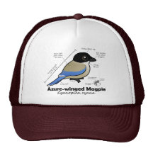 Azure-winged Magpie Statistics Mesh Hat