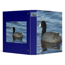 B0027 Common Coot binder