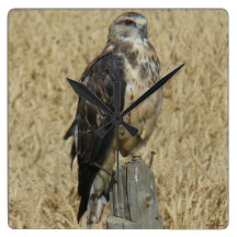 B0035 Ferruginous Hawk Wallclock