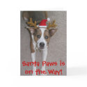 b1, Santa Paws is on the Way! cards