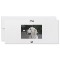b56 testing products personalized rack card
