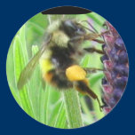B - Bee Sticker stickers