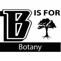 B Is For Botany photo sculptures by busybees B Is For Botany photo sculptures