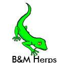 B&M Herps polo t-shirts