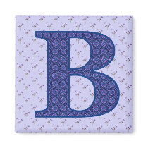 B magnets