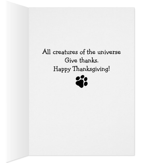 B & T #23 Thanksgiving Note Card | Zazzle