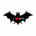 B t-shirts by WeezelTeez B t-shirts