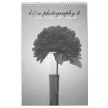 b&w 3 - 2011 calendar