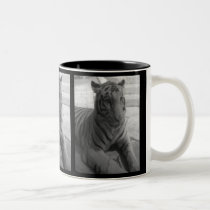 B & W Albino Tiger mugs by sammimlamv B & W Albino Tiger mugs