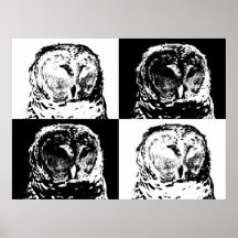 B/W Barred Owl Pop Art Print