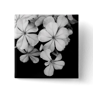 b&w button