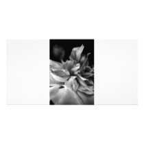 B&W Flower Photo Greeting Card