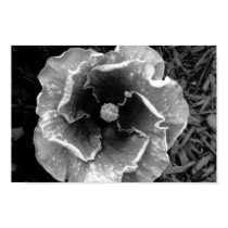 B/W Flower posters