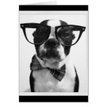 B&W Hipster Nerd Boston Terrier Cards