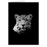 B&W Jaguar Greeting Cards