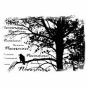 B&W Nevermore Raven Silhouette photo sculptures by VoXeeD B&W Nevermore Raven Silhouette photo sculptures