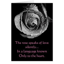 B&W Rose with Dew Valentine's Day Card cards