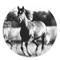 B&W Running Horse Stickers