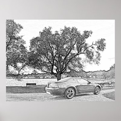 B&W Sketch Style Mustang on a Beach Posters by callahandesigns