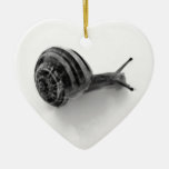 B&W snail ornaments