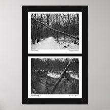 B&W Winter #1 Posters