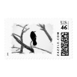 B&W Winter Raven Edgar Allan Poe Postage Stamps