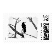 B&W Winter Raven Edgar Allan Poe Postage Stamps