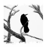 B&W Winter Raven Edgar Allan Poe t-shirts