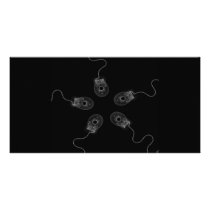 B&W X-Ray Computer Mice Custom Photo Card