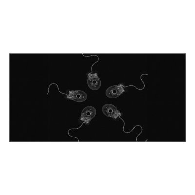 B&W X-Ray Computer Mice Custom Photo Card by VoXeeD
