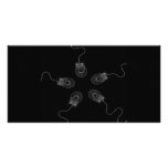 B&amp;W X-Ray Computer Mice Custom Photo Card