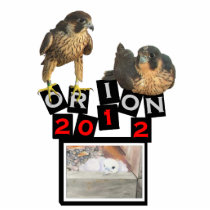 B.Weaver Orion design photo sculpture photo sculptures