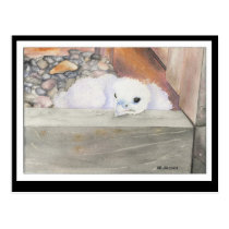 B.Weaver Orion design Postcard postcards